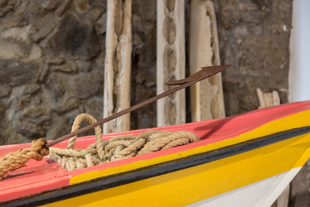 lorem ipsum dolor sit